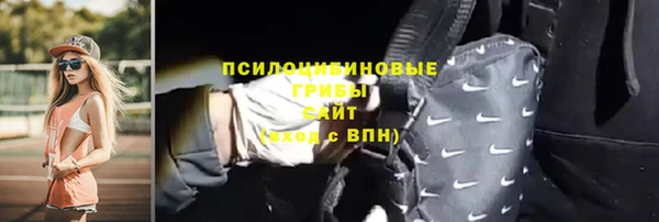 гидропоника Алзамай