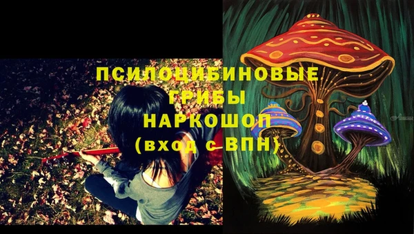 винт Алексеевка